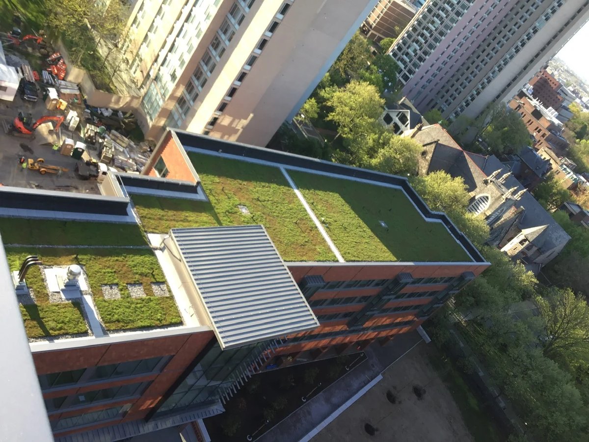 upenn_new_college_house_west_12